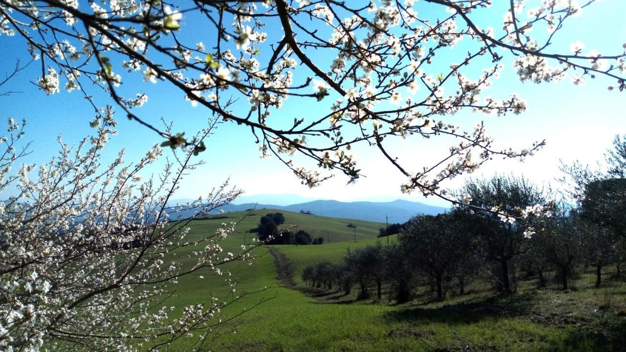 La Pecora Verde Сан Джиминяно Екстериор снимка