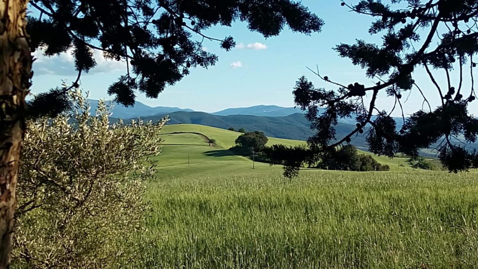 La Pecora Verde Сан Джиминяно Екстериор снимка